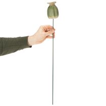 Artikel Valmuefrøkapsel havepæl dekorationer til charmerende havearrangementer 60 cm 2 stk.