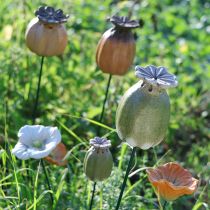 Artikel Valmuefrøkapsel havepæl dekorationer til charmerende havearrangementer 60 cm 2 stk.