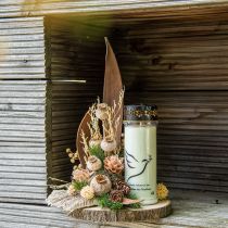 Valmue kapsel store tørrede blomster gul papaver deco valmue 5 stk