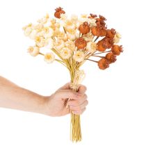 Artikel Tørrede kunstige valmuefrøkapsler, bundt med tre farver, 40 cm, 45 stk.
