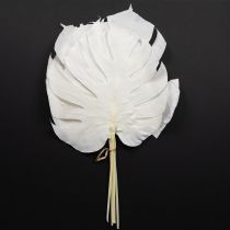 Artikel Monstera blade bleget dekorativt vinduesblad H40cm 5 stk