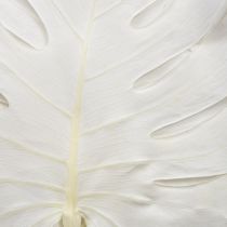 Artikel Monstera blade bleget dekorativt vinduesblad H40cm 5 stk