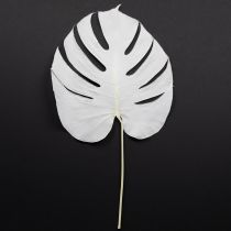 Artikel Monstera blade bleget dekorativt vinduesblad H40cm 5 stk
