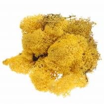 Rensdyrmos Gul 400g