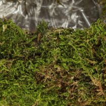 Artikel Dekorativ plantekasse af mos, halvmåneformet med metalbase, naturlig dekoration til opholdsrum og fester, 40×15×30 cm
