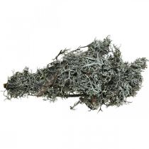 Artikel Deco kviste eg mos mos deco lav naturlig dekoration 750g