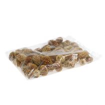 Artikel Sabulosum kogler creme 500g