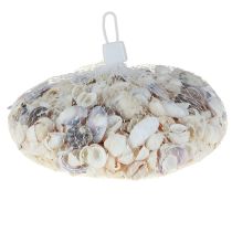 Artikel Skaldekoration mini hjertemuslinger sneglehuse 1-3cm 340g