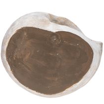 Artikel Dekorativ snegleformet beholder til maritimt og naturligt vægdesign, grå, 21 cm