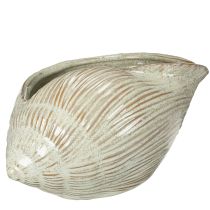Artikel Keramisk skål med muslingeskaldesign til elegant dekoration i stuen, 23 cm