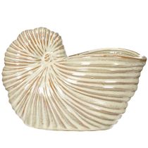 Artikel Keramisk urtepotte med snegledesign til specielle plantearrangementer, 21 cm