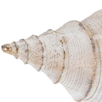Artikel Dekorativ muslingeskalform til stilfuld maritim dekoration, 44 cm