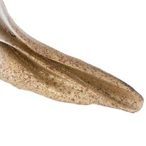 Artikel Dekorativ muslingeskalform til stilfuld maritim dekoration, 44 cm