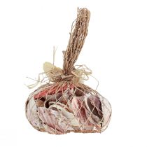 Artikel Skaldekoration ægte skaller forskellige typer 300g