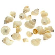 Musling Umachi 500 g