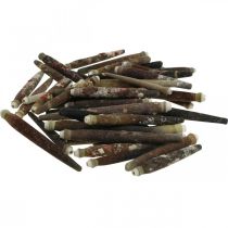 Artikel Dekorative skaller Urchin Spines, søpindsvin pigge, maritim dekoration L3–8cm 450g