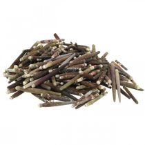 Artikel Dekorative skaller Urchin Spines, søpindsvin pigge, maritim dekoration L3–8cm 450g