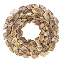 Artikel Skalkrans til ophængning af skalpynt brun kokos Ø24cm