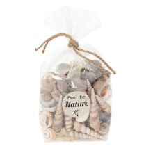 Artikel Skaller og snegle Naturlige maritime dekorative genstande til stilfuld indretning 500 g