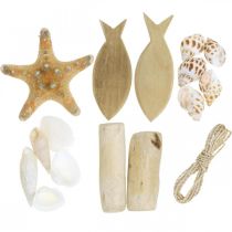 DIY Box Maritime Naturlige Skaller Trædekoration Assorteret Sæt