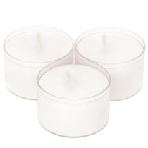 Artikel Natlys Fyrfadslys Hvide i Plastbakke 8 Timer 50 Stk.