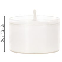Artikel Natlys Fyrfadslys Hvide i Plastbakke 8 Timer 50 Stk.
