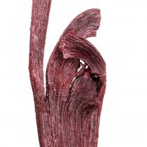 Natraj Thorn Wood Mix Rød, vasket hvid 10 stk
