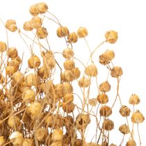 Artikel Naturlige tørrede hørgræsser til tørrede blomsterarrangementer Linum Natur 60cm 180g