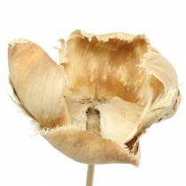 Artikel Naturlig blomst, palmekop på stilk bleget 25 stk