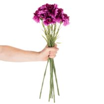 Artikel Kunstig nellike, tofarvet, lang stilk 56 cm, bundt med 8 stk.