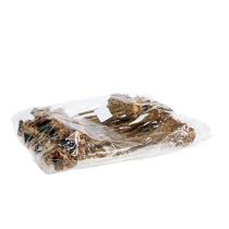 Artikel Nerifolia Bud 25 stk