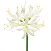 Artikel Nerine Guernsey Lily Kunstig Blomst Hvid Gul Ø15cm L65cm