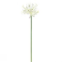 Artikel Nerine Guernsey Lily Kunstig Blomst Hvid Gul Ø15cm L65cm