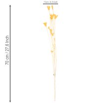 Artikel Tørret Nigella-blomsterarrangement til langvarig brug. Elegant blikfang. 70 cm 50 g