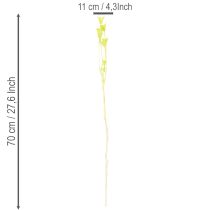 Artikel Tørrede Nigella-blomster, charmerende naturlig rumdekoration til hjemmet, 70 cm, 50 g