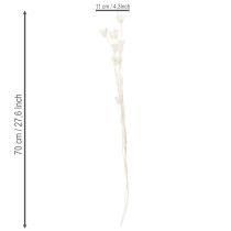 Artikel Tørrede Nigella-blomster, buket elegant naturlig dekoration til eksklusive interiører, 70 cm, 50 g