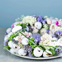 Artikel OASIS® blomstret skumkransring grøn H3cm Ø25cm 6 stk