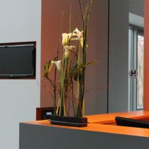 Artikel OASIS® Sort Bord Deco Medi Blomsterskum 4 stk