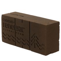 Artikel Oasis Renewal Blomsterskum 23cm 1 Brik