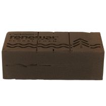 Artikel Oasis Renewal Blomsterskum 23cm 1 Brik