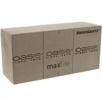 OASIS® BIOLIT® NatureSource mursten blomsterskum 23cm×11cm×7cm 10 stk.