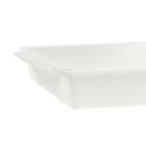 Artikel OASIS® fatningsbakke hvid 23cm x 11,5cm x 2,5cm 5 stk.