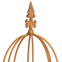 Artikel Havespalier, klatrehjælp til roser og andre klatreplanter, ideelt havedesign, 108 cm, sæt med 2.