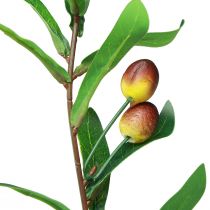 Artikel Olivengren kunstig oliven dekorativ gren 45cm