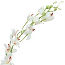 Artikel Orkidé Mokara Hvid 92cm 3 stk