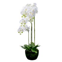 Orkidé hvid med kugle 110cm