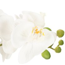 Artikel Kunstig orkidé i potte for en harmonisk atmosfære, hvid, 60 cm