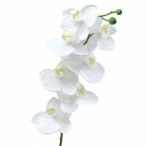 Artikel Kunstig orkidé kunstig blomst hvid Ø6,5-8cm 77cm
