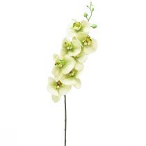 Artikel Orkidé Kunstig Gul Grøn Phalaenopsis L83cm