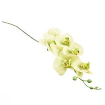 Artikel Orkidé Kunstig Gul Grøn Phalaenopsis L83cm